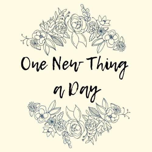 One New Thing a Day